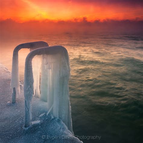 Frozen Evgeni Dinev Photography