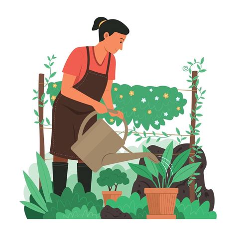 Woman Watering Plants In Garden 5425574 Vector Art At Vecteezy