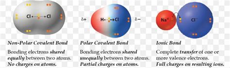 Chemical Polarity Polar Covalent Bond Chemical Bond Ionic Bonding PNG