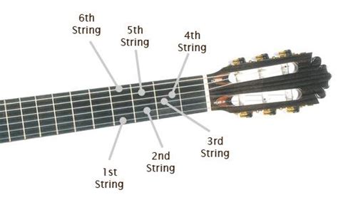 How To Remember The Names Of The Guitar Strings Fuelrocks