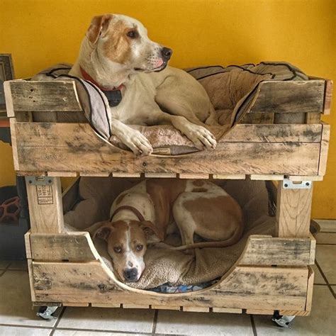 To Make Dog Bunk Beds Standard Dog Bunk Bed Kuranda Dog Beds You