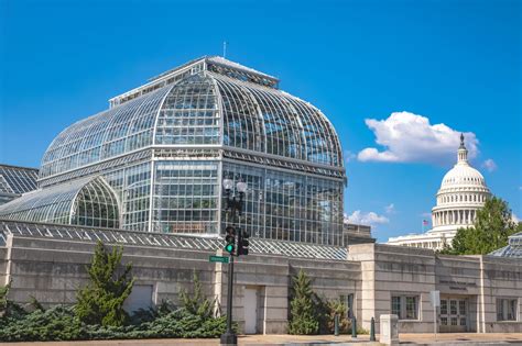 united states botanic garden in washington dc take in the beauty of a tranquil botanical