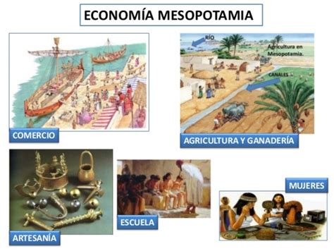 El Desarrollo De Las Ciencias Timeline Timetoast Timelines