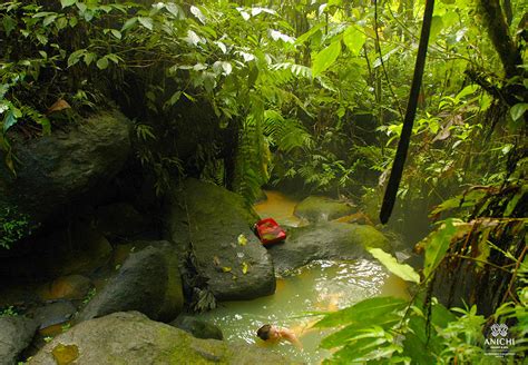 Dominica Hot Springs Health Benefits Of Natural Stress Reliever