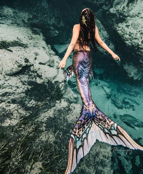 Mermaid Cove Mermaid Fairy Mermaid Dreams Fantasy Mermaids Real
