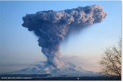 Huge Eruption Of Bezymianny Volcano In Russia Earth Changes