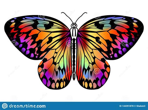 Dessin Papillon Couleur Coloriage Papillons Magiques à Imprimer Sur