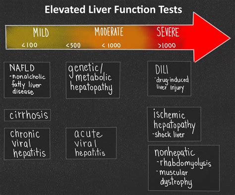Elevated Liver Function Tests Lfts Differential Grepmed