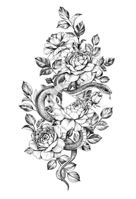Hand Drawn Monochrome Snake Among Roses Stock Illustration