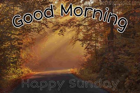 51 Good Morning Happy Sunday Images For Whatsapp 2022 Best Status Pics