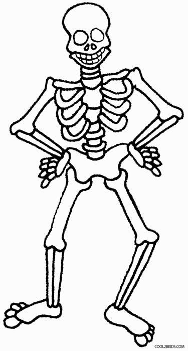 You are free to share or adapt it for any purpose, even commercially under the following terms: Printable Skeleton Coloring Pages For Kids | Cool2bKids