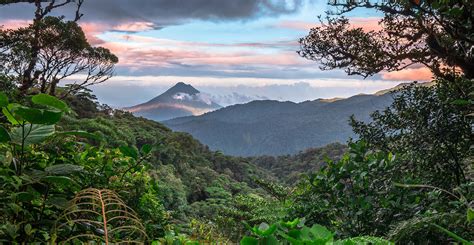 Portal Olhar Dinâmico Turismo Tropical Em Costa Rica Conheça