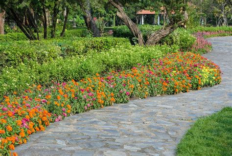 23 Plants That Make For Captivating Walkway Borders