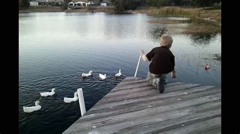 Kid Falls Off Dock Into Lake Wile Feeding Ducks Youtube