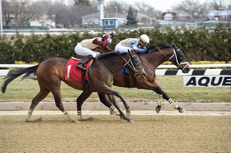 Virginia-Breds Close Out 2016 With Solid Showing At Aqueduct | Virginia