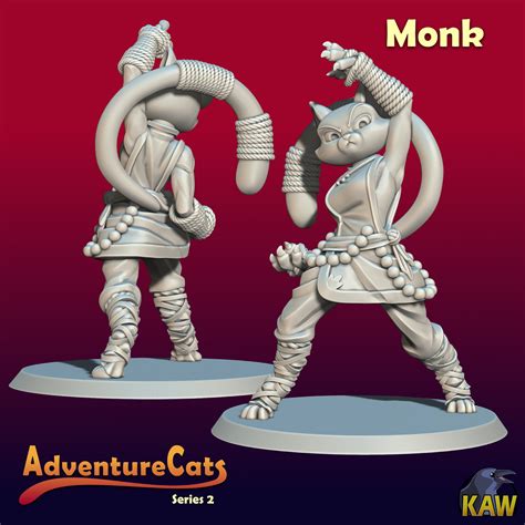 Monk Cat Tabaxi Catfolk Kaw Miniature 3d Resin Etsy