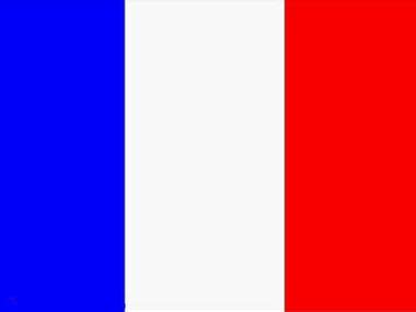 Si estás buscando comprar una bandera francia, has llegado en lugar adecuado. Bandera Francia | Navegación 85051 - Cosas de Barcos