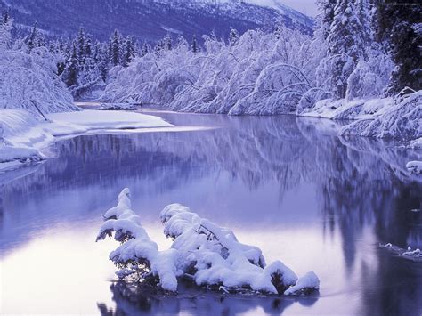 Wallpaper Trees Landscape Lake Nature Reflection Snow Winter