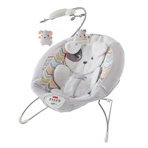 Best Baby Bouncers Omy9 Reviews