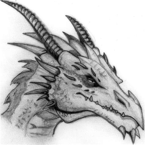 Dragon Pencil Sketch At Explore Collection Of