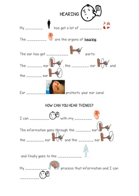 Hearing Exercise Live Worksheets