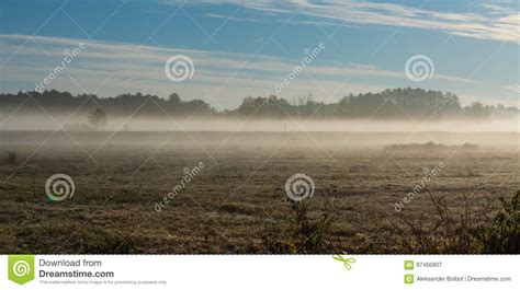 Early Morning With Mist Over Frosty Meadow Stock Image Image Of Rural