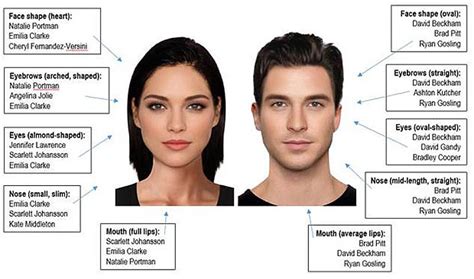 What Is The Most Attractive Face Shape New Health Advisor