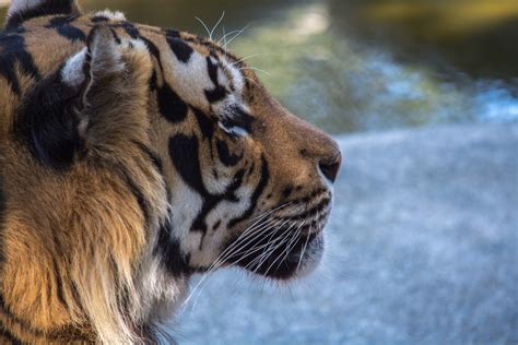 This online tool creates a transparent jpg picture. 100+ Jpg Pictures | Download Free Images on Unsplash