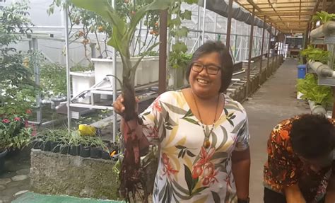 Berikut ini adalah cara menanam durian dalam pot/drum pertama, siapkan terlebih dahuku media tanam berupa campuran tanah liat dan pupuk kandang atau pupuk kompos dengan perbandingan 1:1. Berita TV Malaysia: Cara Tanam Pisang Dalam Pasu Berbuah ...