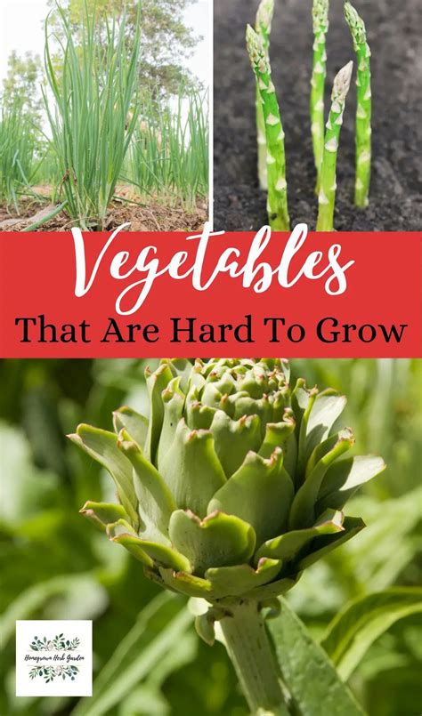Hardest Vegetables To Grow Gardeners Challenge Homegrown Herb Garden