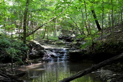 The Nature Institute Healthy Streams and Their Ecosystems - The Nature ...