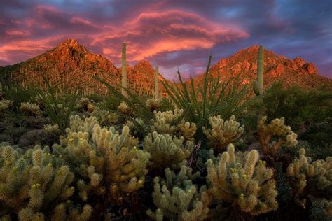 Tucson Mountain Park Desert Dreamer Mountain Park Desert Sunset