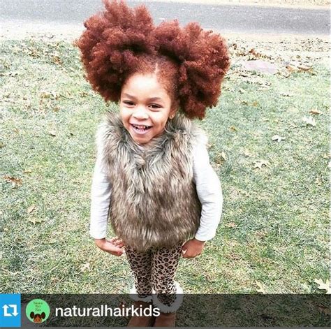 African American Hair Black Hair Head Lice Infestation ...