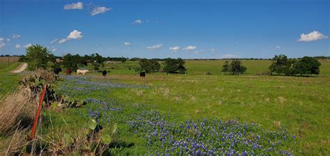 Acres Tbd Farm To Market Cameron Tx Land And Farm