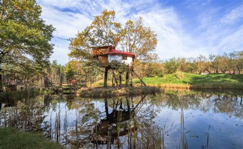 Instagram Worthy Tree House Hotels That You Should Consider On Your Next Travel Abroad Blogs