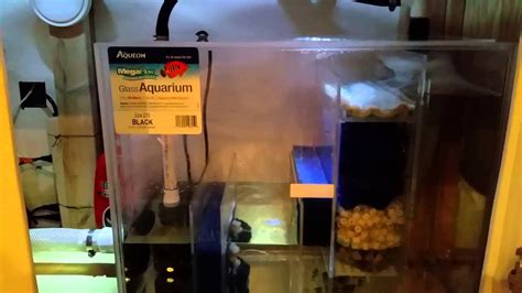 Aquarium design diy aquarium stand aquarium sump turtle aquarium aquarium terrarium home aquarium aquarium fish tank 125 gallon aquarium saltwater learn the easy way to change the water in your freshwater aquarium to avoid spilling, and ensure sure your fish stay happy and healthy! Diy freshwater sump - YouTube