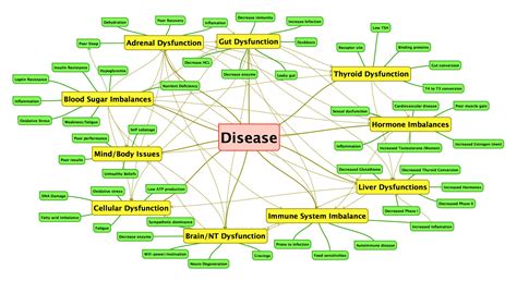 Ifm has the largest referral network in functional medicine. Functional Medicine Treatment Plan Packet | Chiropractor ...