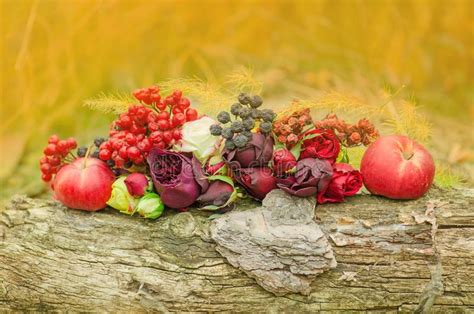 Eco Food And Harvest Concept Autumn Harvest Background Stock Photo