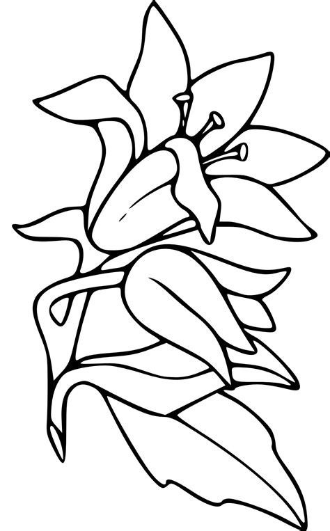 Coloriage Fleur De Lys À Imprimer encequiconcerne Dessin A Colorier De