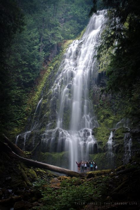 Oregon Hikes Oregon Waterfalls Oregon Road Trip The Oregon Trail