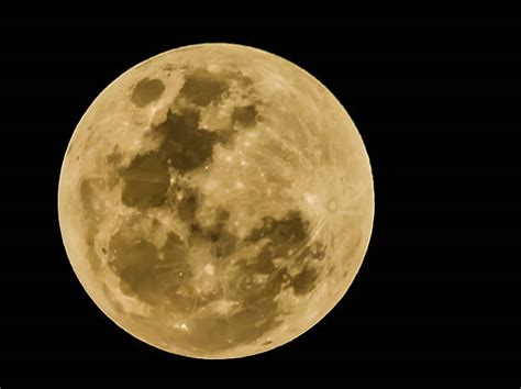 Top 60 Yellow Moon Stock Photos Pictures And Images Istock
