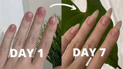 Taking Care Of Your Nails A Guide To Healthy And Strong Nails