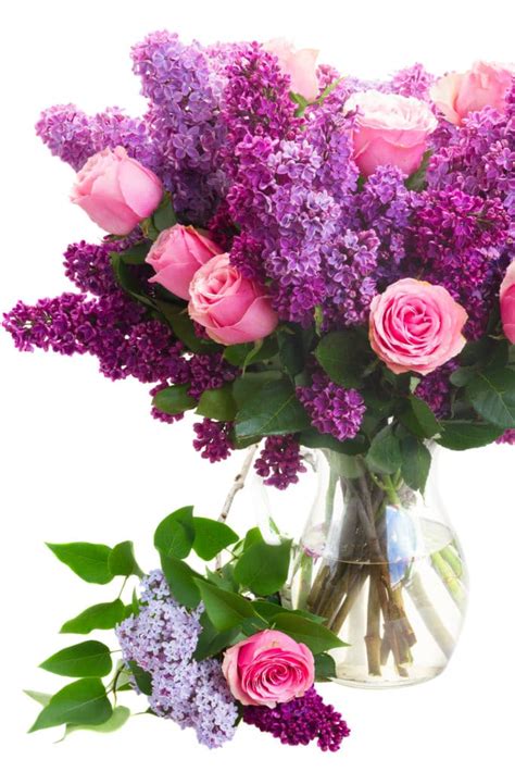 The best method is to put the used coffee grounds into a bucket. Best Smelling Flowers To Plant In Your Summer Garden