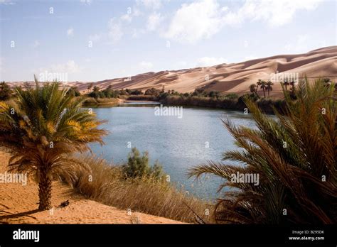 Libya Sahara Desert Oasis Lake Um El Ma Stock Photo Alamy