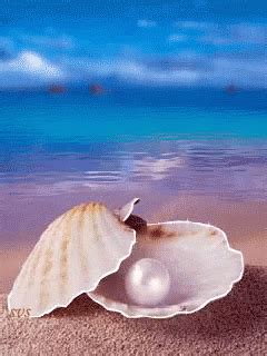 Pearl Pearls Gif Pearl Pearls Beach D Couvrir Et Partager Des Gif