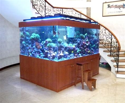 Acrylic Marine Reef Tank Fish Tank Reef Tank Marine Tank