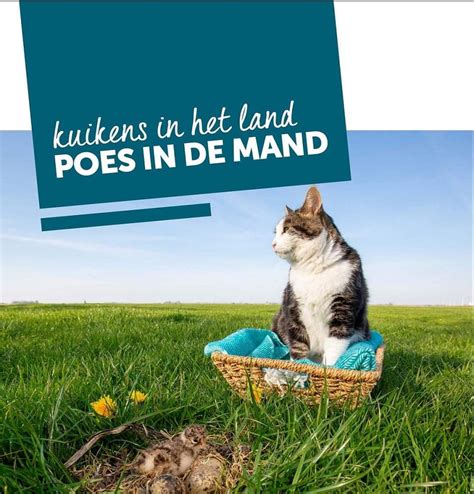 Poes In De Mand Poster
