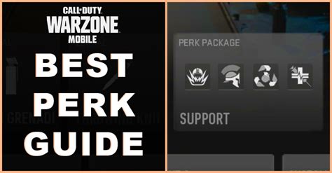 Guide To Choosing Perk In Warzone Mobile Wzm Guides