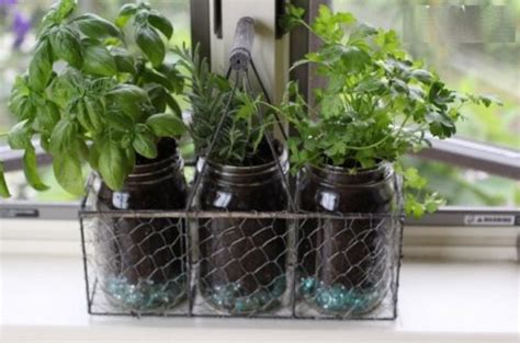 Create A Mason Jar Herb Garden The Prepared Page