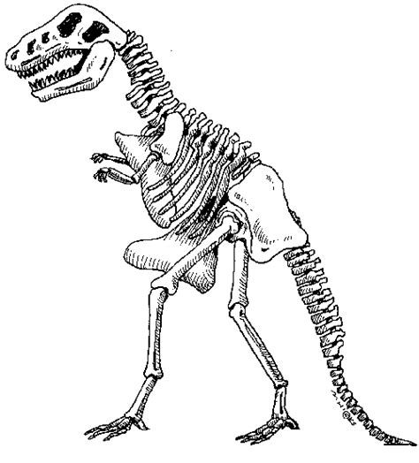 T Rex Skeleton Coloring Pages